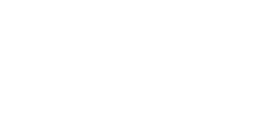 The Selene Group